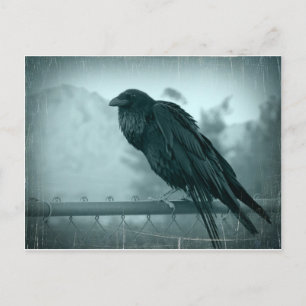 Messenger Postkarte