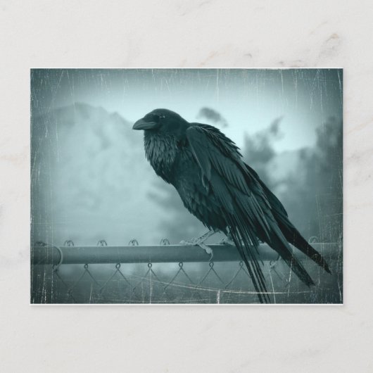 Messenger Postkarte (Vorderseite)