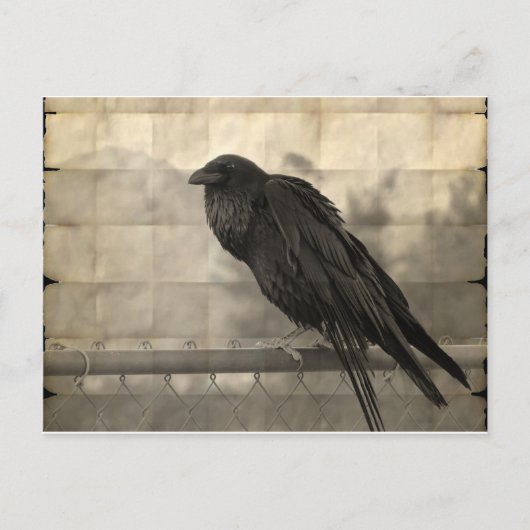 Messenger (Vintag) Postkarte (Vorderseite)