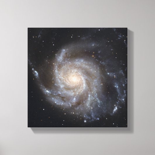 Messier 101, Pinwheel Galaxy Leinwanddruck (Vorderseite)