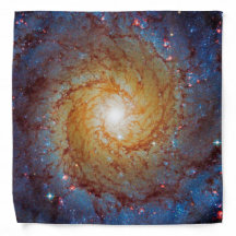 Messier 74 Spiral Galaxy Weltraumbahnhof Foto