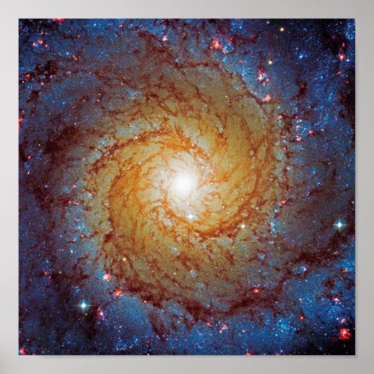 Messier 74 Spiral Galaxy Weltraumbahnhof Foto Poster (Vorne)