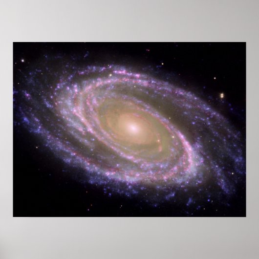Messier 81 Spiralgalaxie Poster (Vorne)