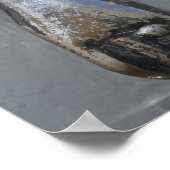 Messinghand-Türknopf Poster (Ecke)