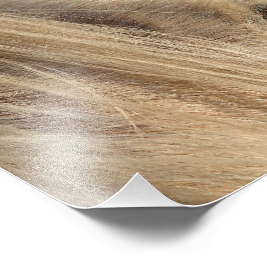 Messy Mane Day Fotodruck (Ecke)