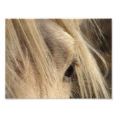 Messy Mane Day Fotodruck (Vorne)