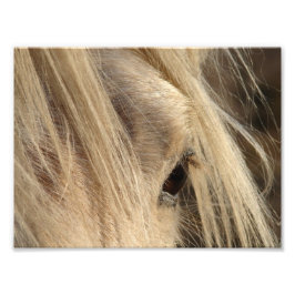 Messy Mane Day Fotodruck