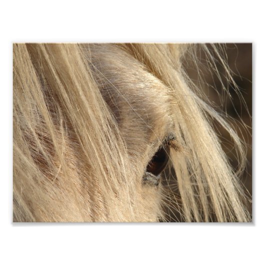 Messy Mane Day Fotodruck (Vorne)