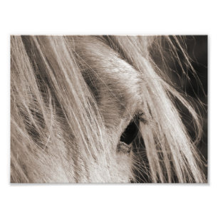 Messy Mane Day Fotodruck