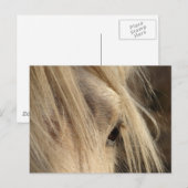 Messy Mane Day Postkarte (Vorne/Hinten)