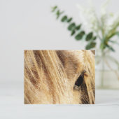 Messy Mane Day Postkarte (Stehend Vorderseite)