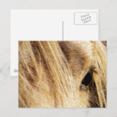 Messy Mane Day Postkarte (Vorne/Hinten)