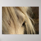 Messy Mane Poster (Vorne)