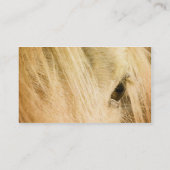 Messy Mane Visitenkarte (Rückseite)