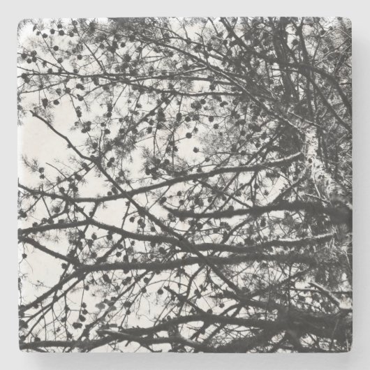 Messy PineCones Steinuntersetzer (Vorderseite)