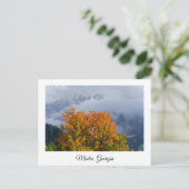 Mestia Georgia Postcard Postkarte (Stehend Vorderseite)