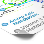 Metabolische Wegskarte Poster (Ecke)