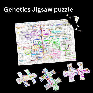 Metabolische Wegskarte Puzzle