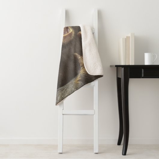 Metal Chimp Sherpadecke (Beispiel)