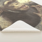 Metal Chimp Sherpadecke (3/4)