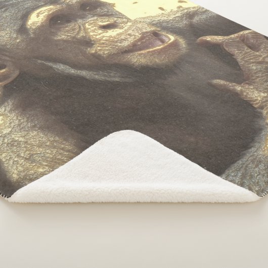 Metal Chimp Sherpadecke (3/4)