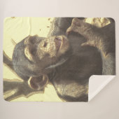 Metal Chimp Sherpadecke (Vorderseite (Horizontal))