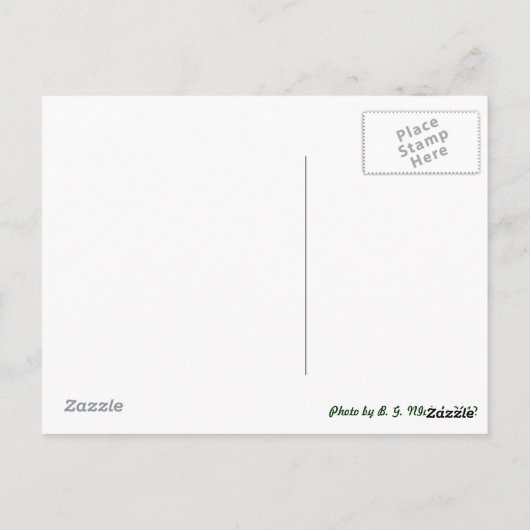 Metal Dragonfly Postkarte (Rückseite)