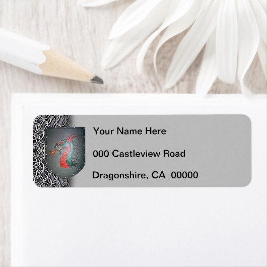 Metal Shield Dragon Chainmail Gray Links (Insitu)