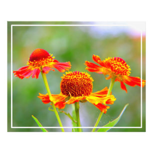 Metal Wall Art Fotodruck