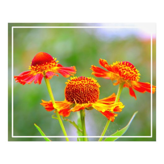 Metal Wall Art Fotodruck (Vorne)