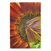 Metal Wall Art Sonnenblumen