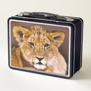 Metall-Lunchbox Löwenjunges Metall Brotdose