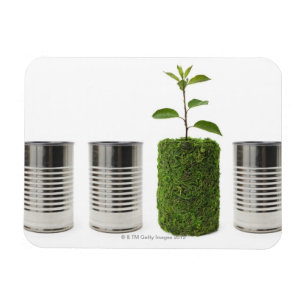 Metalldosen und neue Sämlingswachstumsvertretung Magnet