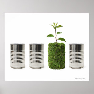 Metalldosen und neue Sämlingswachstumsvertretung Poster