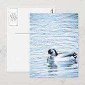 Metallherde Postkarte (Vorne/Hinten)