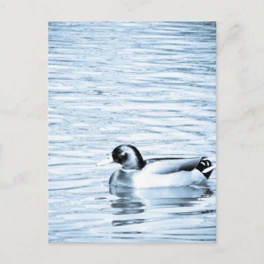 Metallherde Postkarte (Vorderseite)