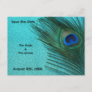 Metallic Aqua Peacock Save the Date Postcard Ankündigungspostkarte