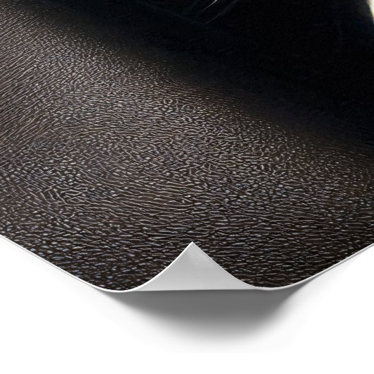 Metallic Skull Cowboy Poster (Ecke)