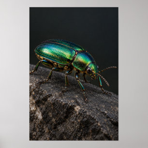 Metallisch grüner Käfer auf dunkler Fels Natur Wan Poster