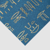 Metallische ägyptische Hieroglyphen auf blau Seidenpapier (Detail)