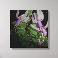 Metallische Fuchsienblüten - Digitale Verbesserung