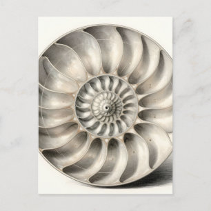 Metallische Nautilus-Schnecken-Spiral-Geometrie  Postkarte