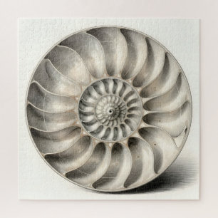Metallische Nautilus-Schnecken-Spiral-Geometrie Puzzle