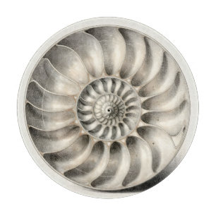 Metallische Nautilus-Schnecken-Spiral-Geometrie Schneidebrett