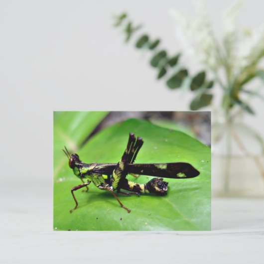 Metallischer Grasshopper Postkarte (Stehend Vorderseite)