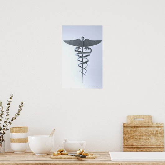 Metallkadukeus Poster (Küche)