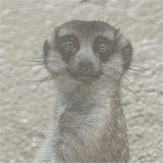 Metallmeerkat Aufkleber (Vorderseite)