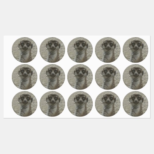 Metallmeerkat Etiketten (Blatt)