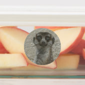 Metallmeerkat Etiketten (Befestigt)