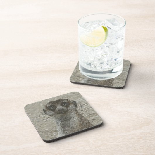 Metallmeerkat Getränkeuntersetzer (Rechte Seite)